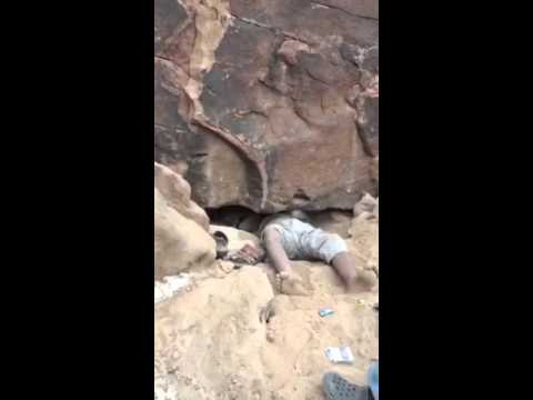 شاهد شباب يصطادون ذئابا من مغارة سعودية