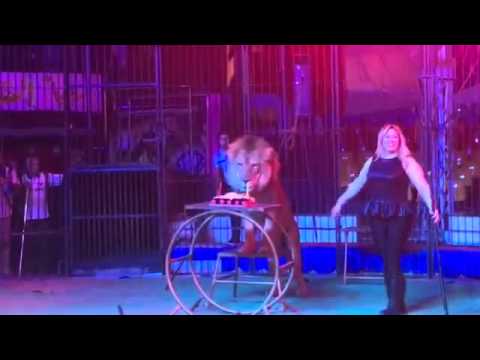 شاهد لوبا الحلو تأكل التورتة مع الأسد