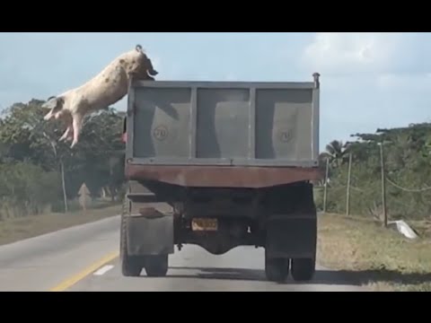 بالفيديو النحس يصيب شاحنة حربية روسية أثناء المرور بجوار سيارة غارقة