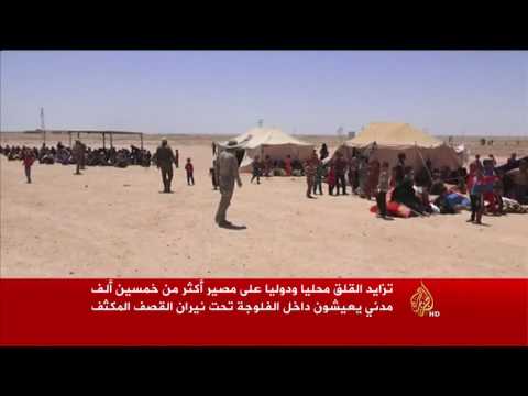 شاهد تزايد القلق محليًا ودوليًا على مصير سكان الفلوجة
