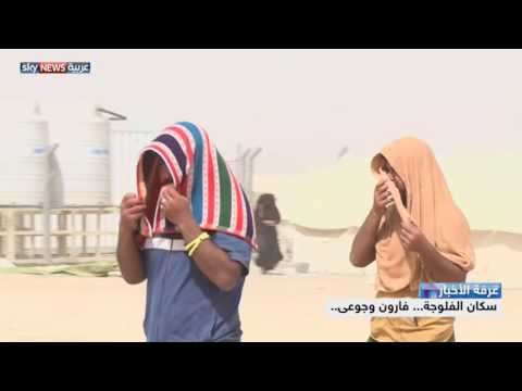 بالفيديوسكان الفلوجة فارون وجوعى