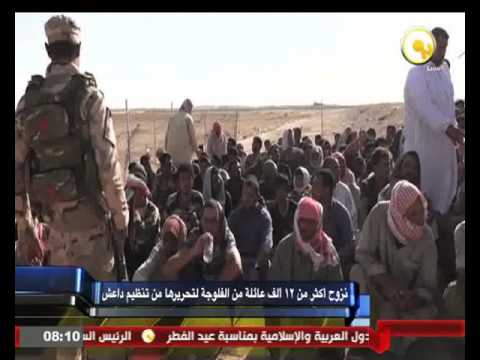 فيديو نزوح أكثر من 12 ألف عائلة من الفلوجة