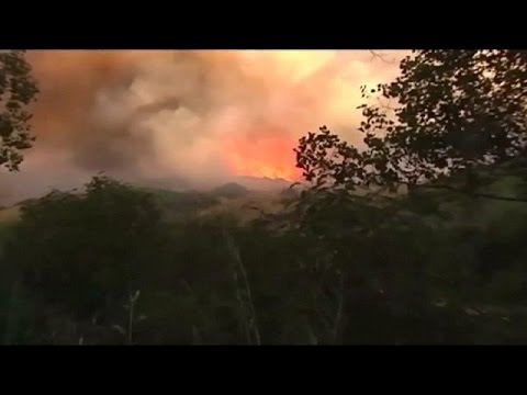 بالفيديو شاهد السيطرة على حرائق الغابات في مقاطعة مالقة