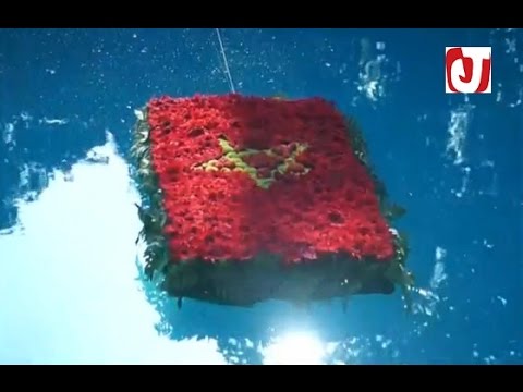 فيديو سفارات المملكة المغربية تحتفل بعيد العرش المجيد