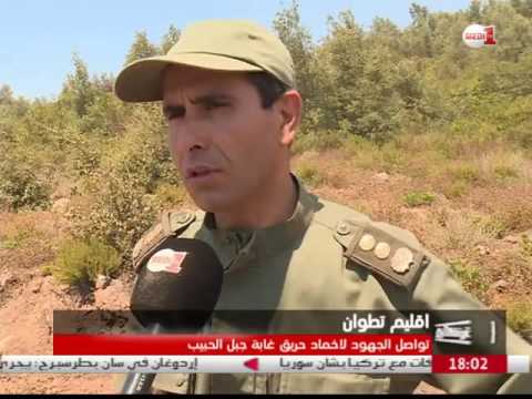 فرق الإطفاء تسابق الزمن لإخماد حريق غابة جبل الحبيب