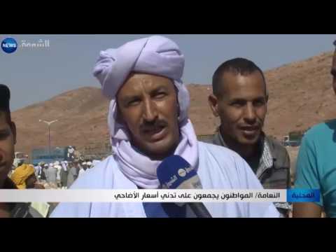 بالفيديو  المواطنون يجمعون على تدني أسعار الأضاحي