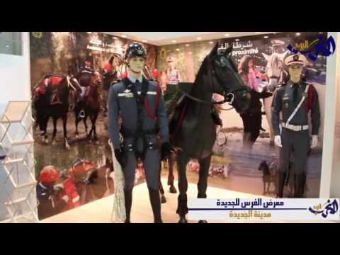 شاهد معرض الفرس للجديدة في الدورة التاسعة