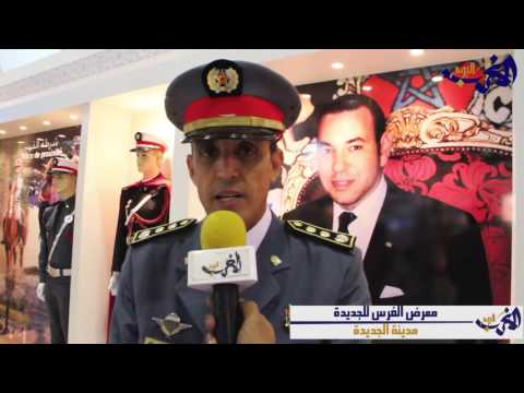 شاهد أهمية الخيل داخل الحرس الملكي
