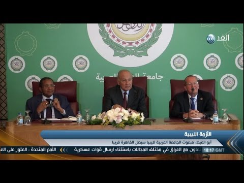 بالفيديو جهود ومساعي عربية أفريقية أممية للتوصل إلى حلول سياسية