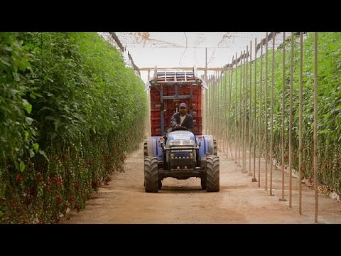 بالفيديو مبادرة تكيف الزراعة في أفريقيا مع التغيرات المناخية