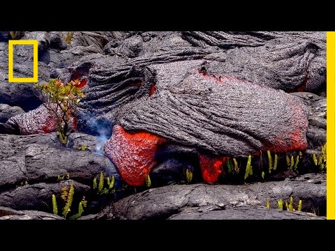 شاهد أكثر البراكين نشاطًا في العالم يلتهم الأخضر واليابس