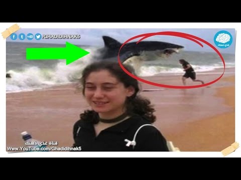 شاهد أقوى هجمات مرعبة لأسماك القرش على البشر