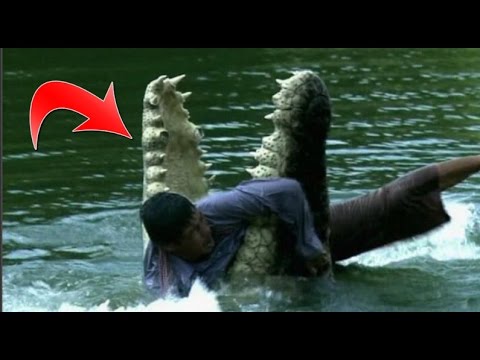 بالفيديو تمساح يلتهم رجلًا قرب مصبّ نهر دوسان