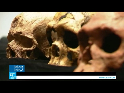 شاهد مفاجآت تكشفها البقايا العظمية البشرية التي عُثر عليها في المغرب