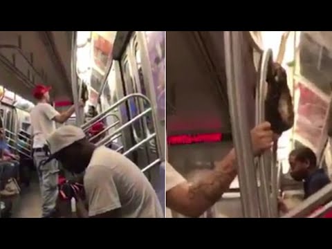 رجل يطلق ثعبانًا وسط عربة مترو الأنفاق