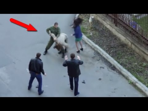 مواقف بطولية لا تصدق 2017