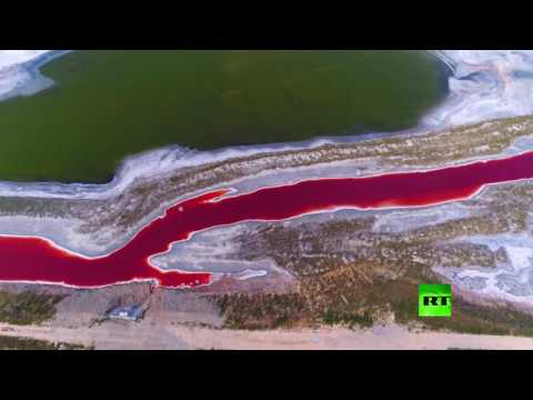 شاهد لقطات مبهرة للبحيرات المالحة الرائعة الجمال