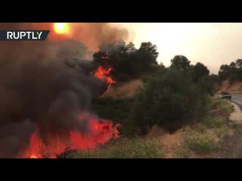 فرق الإطفاء تواصل إخماد حرائق الغابات في كاليفورنيا