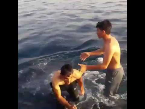 شاهد مغامران يقفزان فوق ظهر حوت ضخم