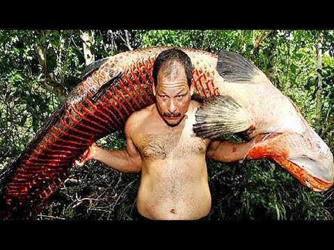 شاهد أغرب لحظات الصيد التي صورتها الكاميرات