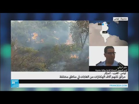 شاهد حرائق تلتهم آلاف الهكتارات من الغابات في شمال أفريقيا