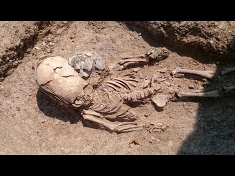 بقايا هيكل عظمي ذو جمجمة طويلة يثير الحيرة