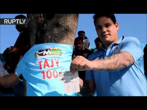 شجرة مميّزة تصبح مشجعًا كرويًا في باراغواي