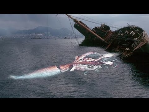 10 مخلوقات أسطورية موجودة في الحقيقة