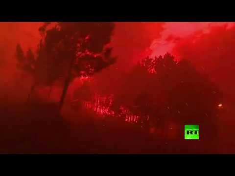 شاهد لحظات صادمة لشراسة حرائق الغابات في البرتغال