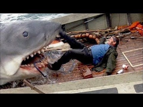 شاهد أشرس 5 حيوانات هاجمت البشر وتم إنقاذهم بأعجوبة