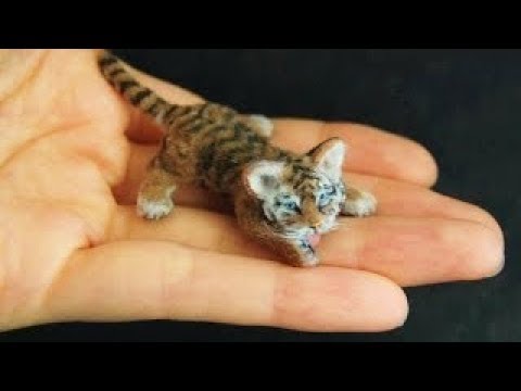 شاهد 7 حيوانات أصغر من حجمها الطبيعي بشكل لا يصدق