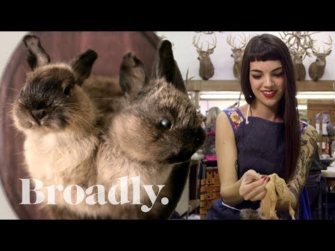 مجموعة شباب يُعطون حياة جديدة للحيوانات الميتة