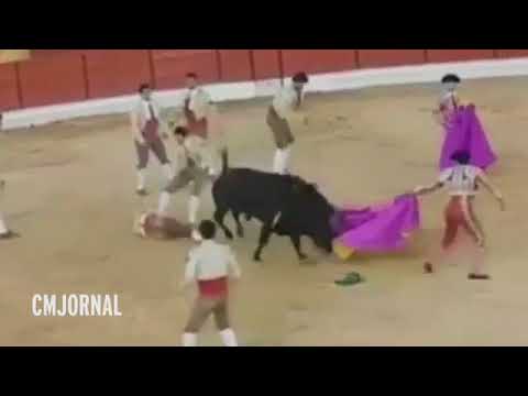 مصارعة ثيران تنتهي بمقتل مصارع أمام حشد ضخم