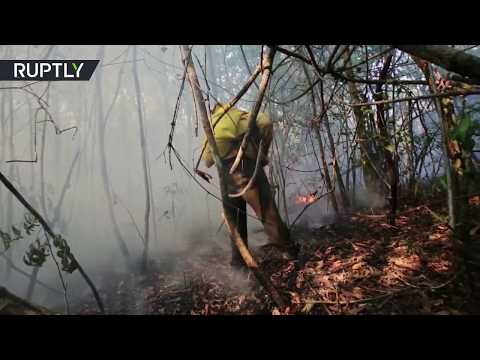 النيران تلتهم متنزهًا وطنيًا في البرازيل