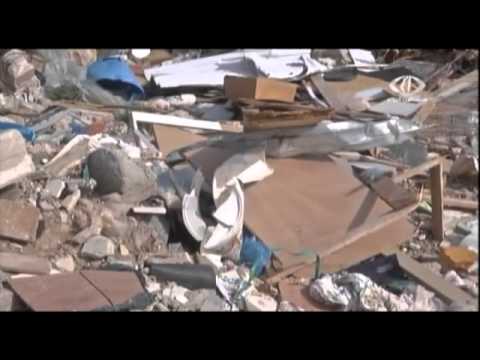 البيئة الفلسطينية تقرّر استمرار الفعاليات البيئية لمدة شهر
