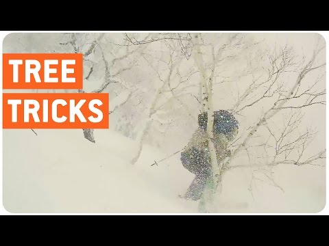 أحد المتزلجين يصطدم بشجرة