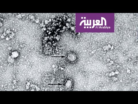 آخر حصيلة لضحايا كورونا