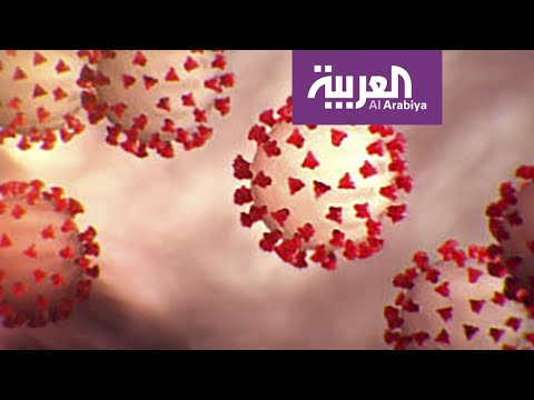 لا يمكن الحديث عن احتواء كورونا في دولة إذا ظل منتشرًا في دول أخرى