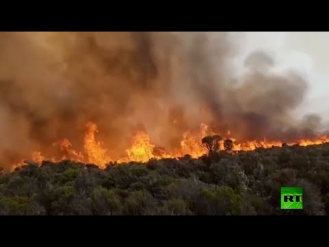 استمرار الحرائق على جبل كليمنجارو الأعلى في إفريقيا