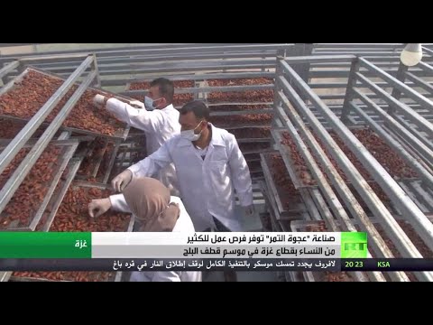 إنتاج التمر يوفِّر فرص عمل لعشرات النساء وموسمه الأهم للمواطنين