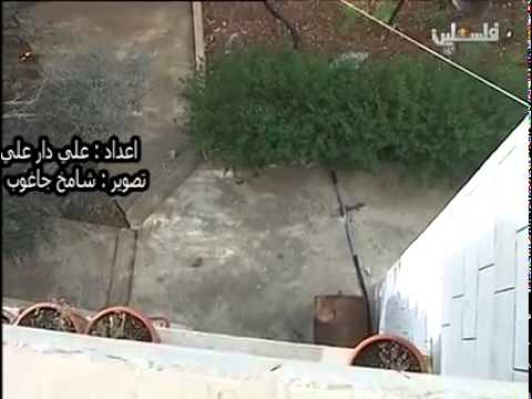 فيديو شبان يحاصرون جنديين إسرائيليين ويمطروهما بالحجارة