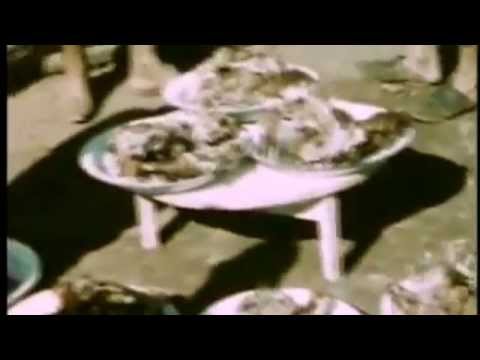 أكلات مغربية أيام زمان