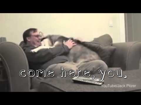 بالفيديو أقوى 7 أحضان بين البشر والحيوانات