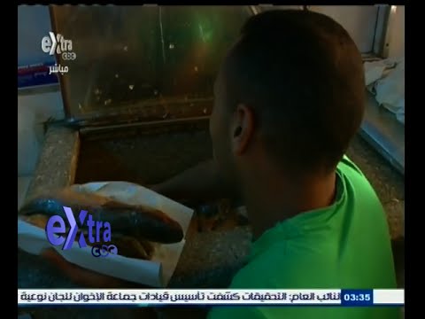 شاهد التموين تعلن الطوارئ استعدادًا لـشم النسيم