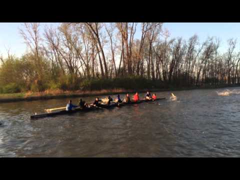 بالفيديو أسماك طائرة تهاجم فريق للتجديف