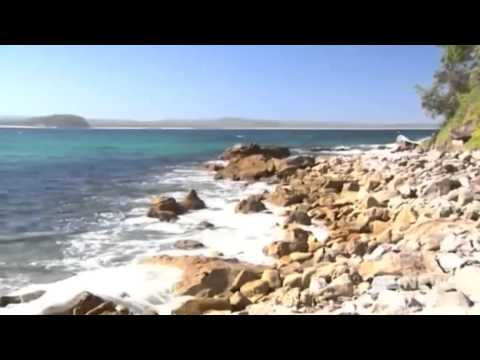 شاهد هجوم سمكة قرش على مراهق حاول تصويرها