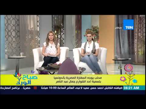 بالفيديو محلب يوجه السفارة في أندونسيا إلى تسمية شارع بـجمال عبد الناصر