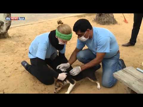 بالفيديو حديقة حيوان خانيونس تعاني بشدة