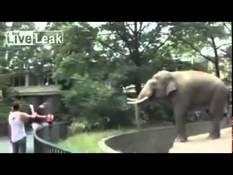 بالفيديو فيلم ينتقم من رجل أقدم على استفزازه