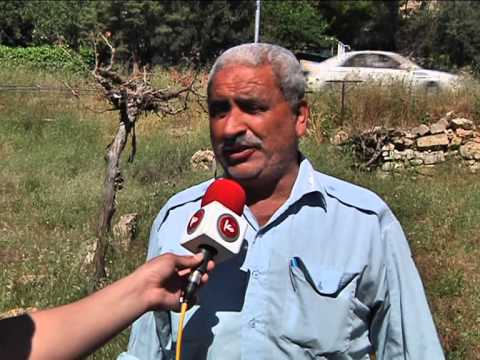 شاهد موجة الصقيع الأخيرة في الخليل تتلف محصول العنب